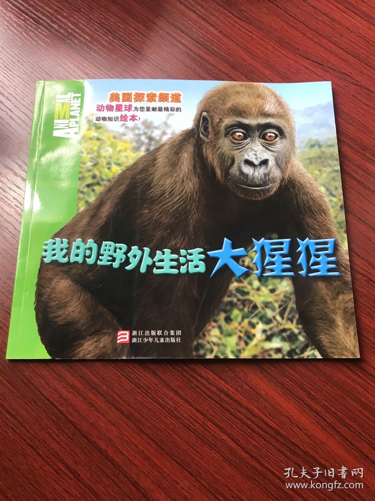 大猩猩-我的野外生活(美国探索频道 动物知识绘本)【无涂画笔迹,近