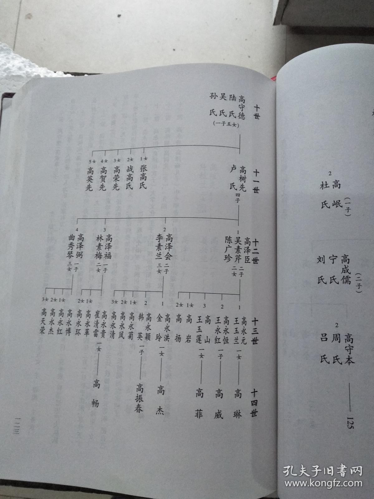 高氏族谱再续版辽宁盖州九寨镇福利村硬精装16开664页2011年版售原谱