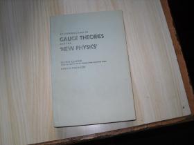 CAUGE THEORIES AND THE NEW PHYSICS