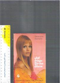 德文原版小说 Ich bringe Dir den Sturm / Geneviève Dormann【店里有许多德文原版小说欢迎选购】
