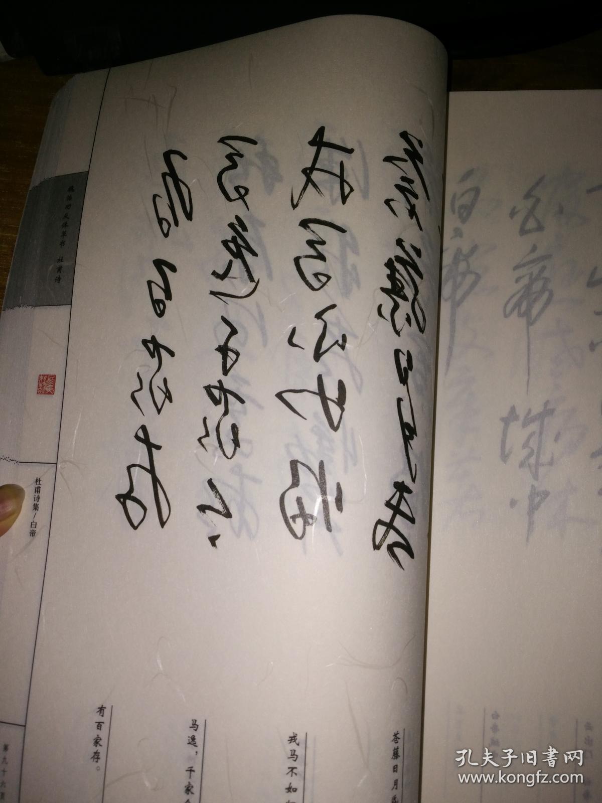 魏治功反体草书 杜甫诗