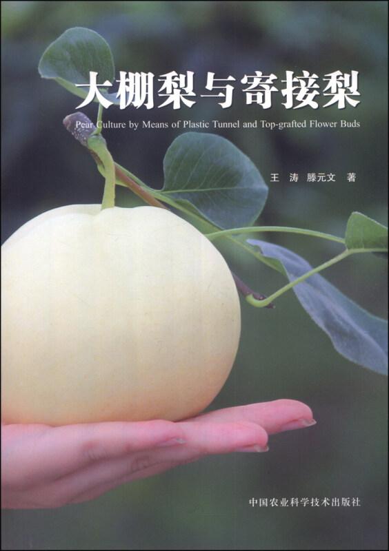 梨树种植技术书籍 大棚梨与寄接梨 [Pear Culture by Means of Plastic Tunnel and Top-grafted Flower Buds]