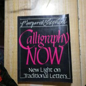 Calligraphy Now: New Light on Traditional Letters 见图