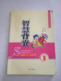 智慧背囊1