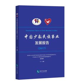 中国少数民族事业发展报告（2017）
