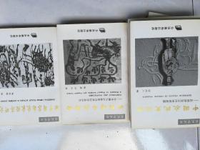 湘西农村经济总量_湖南湘西农村木房子(3)