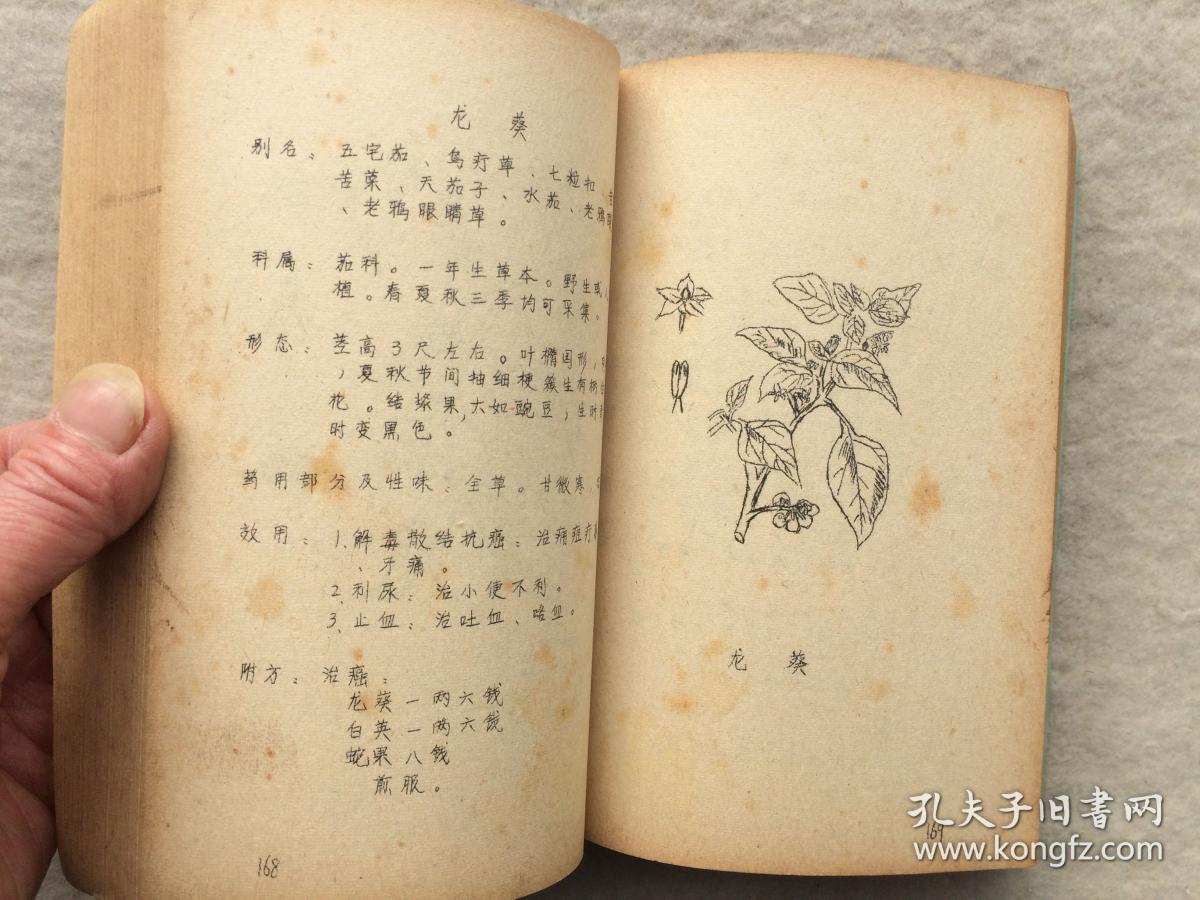 中草药土方汇编 油印本 上海国营群力草药店