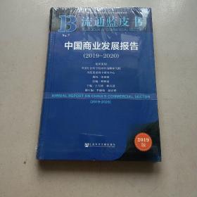 中国商业发展报告2019-2020-