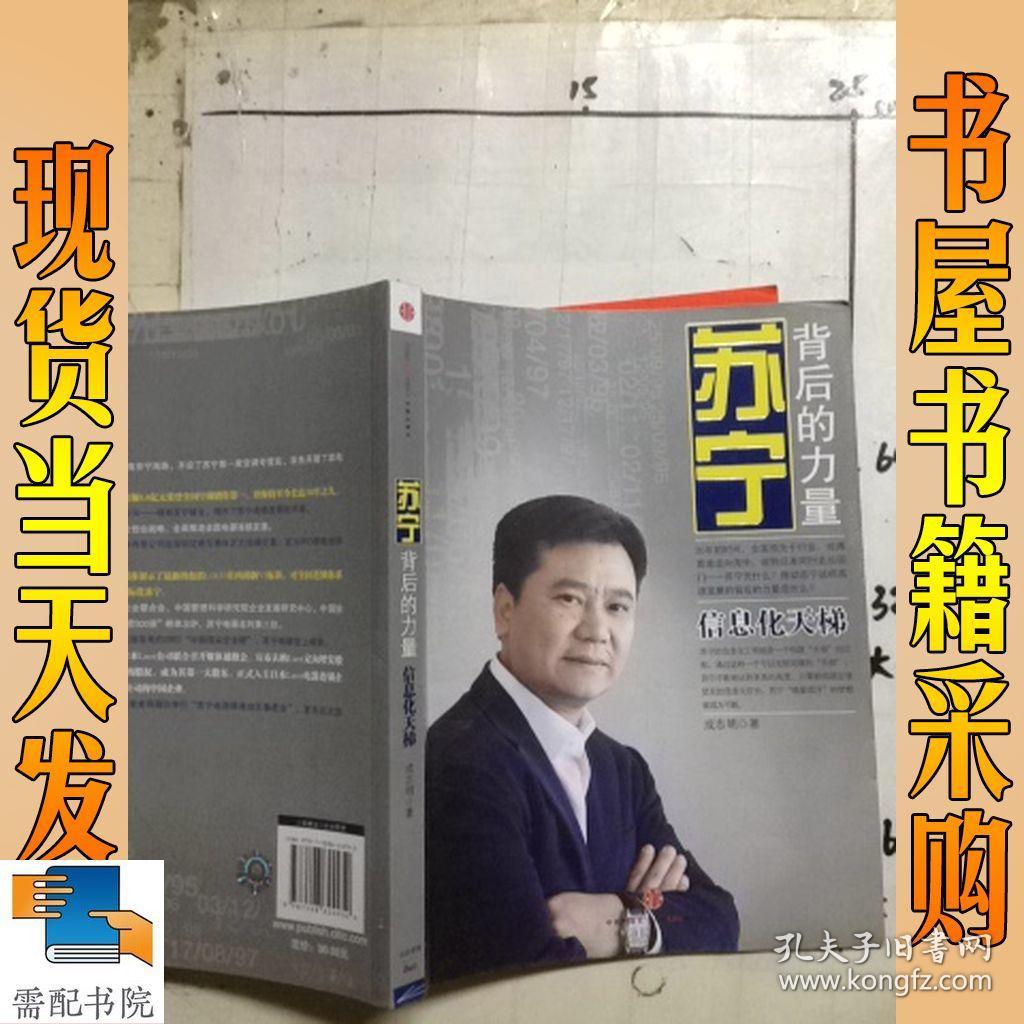 苏宁 背后的力量