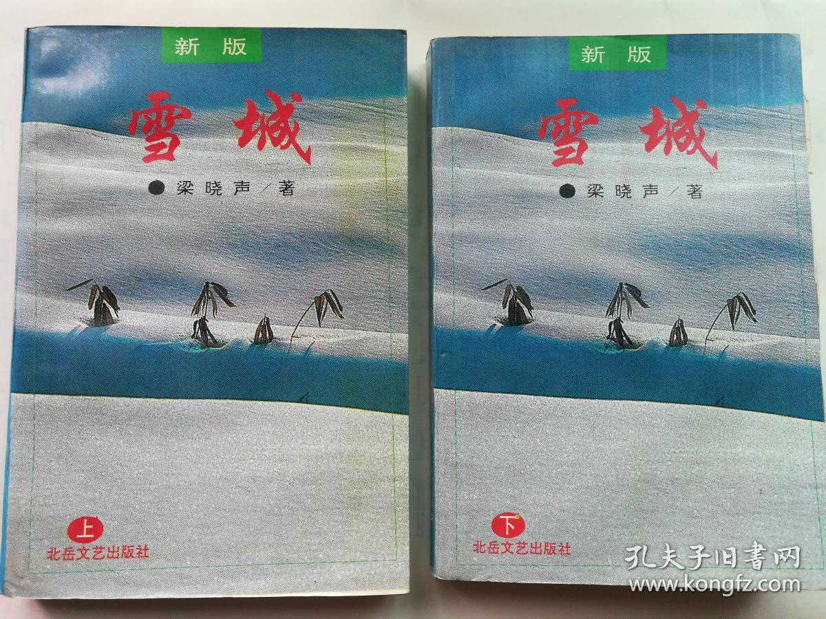 雪城(上.下册)_梁晓声_孔夫子旧书网