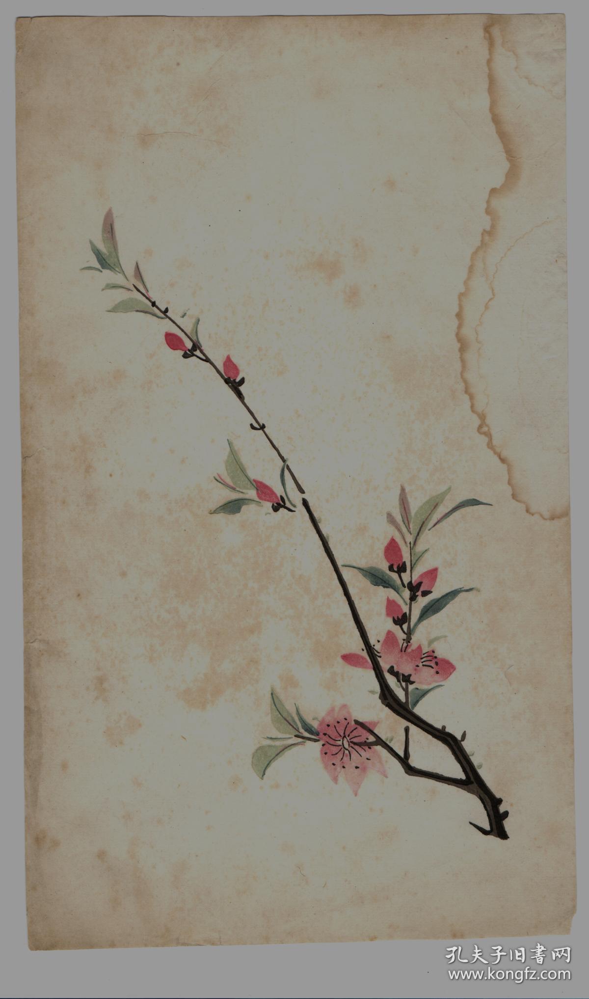 民国木版水印花笺纸:多色套印花卉笺(8)