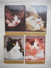 1987年年历：猫 4张