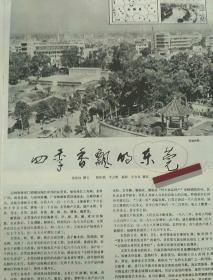 八十年代广东东莞县工农商业发展新闻报道资料7页(G8401—2)