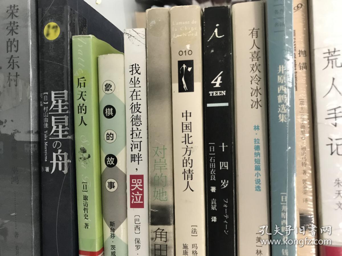 荒人手记_朱天文_孔夫子旧书网