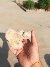 奇石；造型石你看像个啥11厘米*9厘米*5厘米