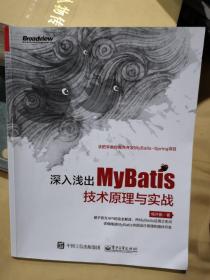 深入浅出MyBatis技术原理与实战
