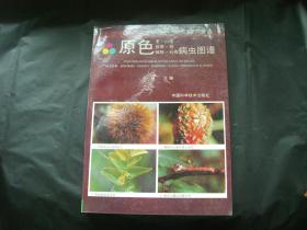 系列原色果树病虫图谱（8）原色枣、山楂、板栗、柿.核桃.石榴病虫图谱