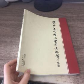 湖南四川青年书法学术交流展作品集