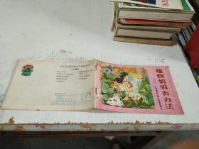 植物妈妈有办法