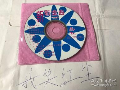 经典金碟豹 泳装沙滩美女