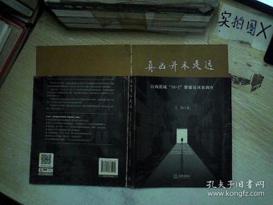 紫藤巷凶案调查