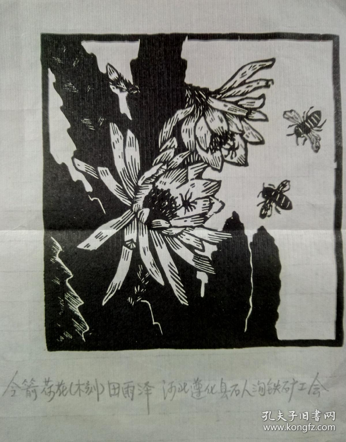 木刻·版画·河北遵化·田雨泽·令箭荷花·(手稿原稿)