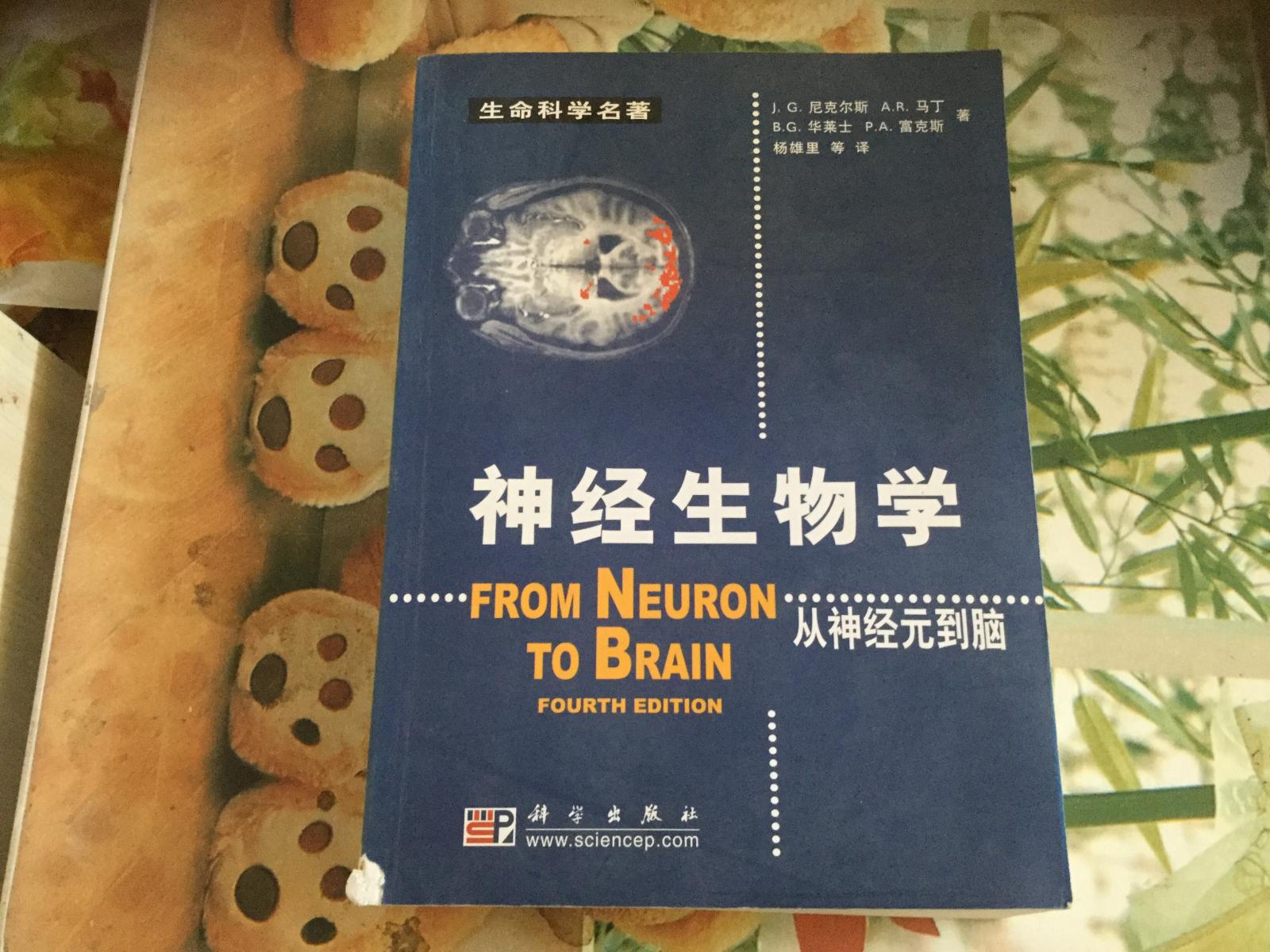 神经生物学：从神经元到脑
