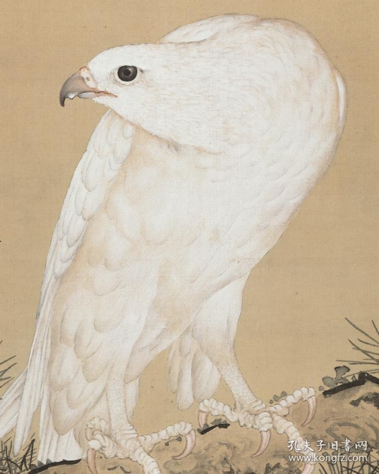 清郎世宁白鹰图12225x64cm绢本国画宣纸绢布艺术微喷画芯名画复制原作