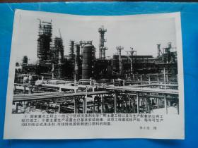 辽宁抚顺化学厂 --《祖国颂》9 新闻展览 8寸黑白照片