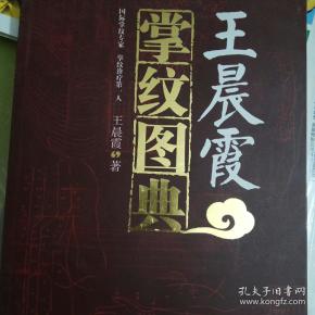 王晨霞掌纹图典