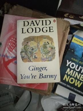 david lodge paradise news
