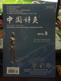 中国针灸2013年 第3期