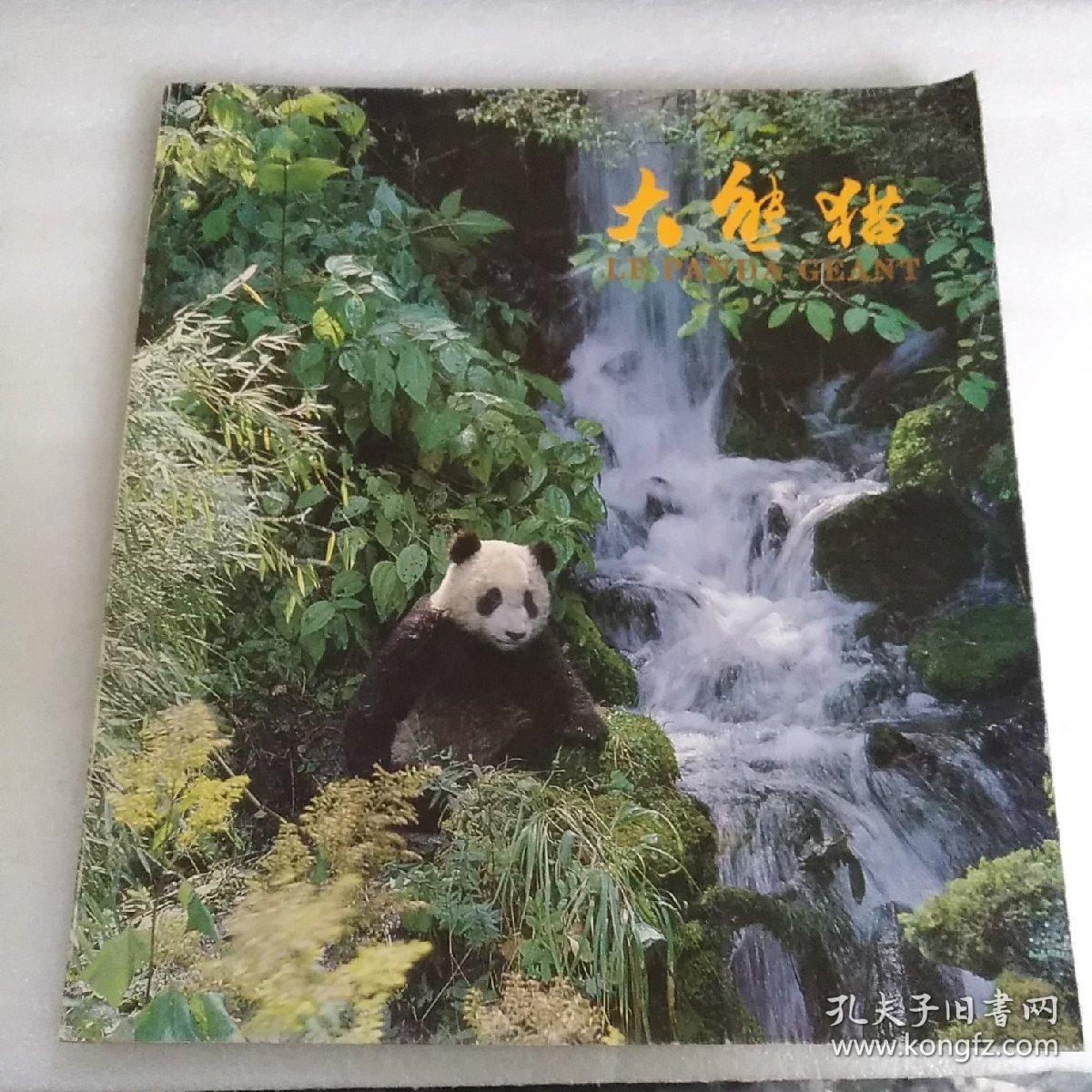 大熊猫(画册)