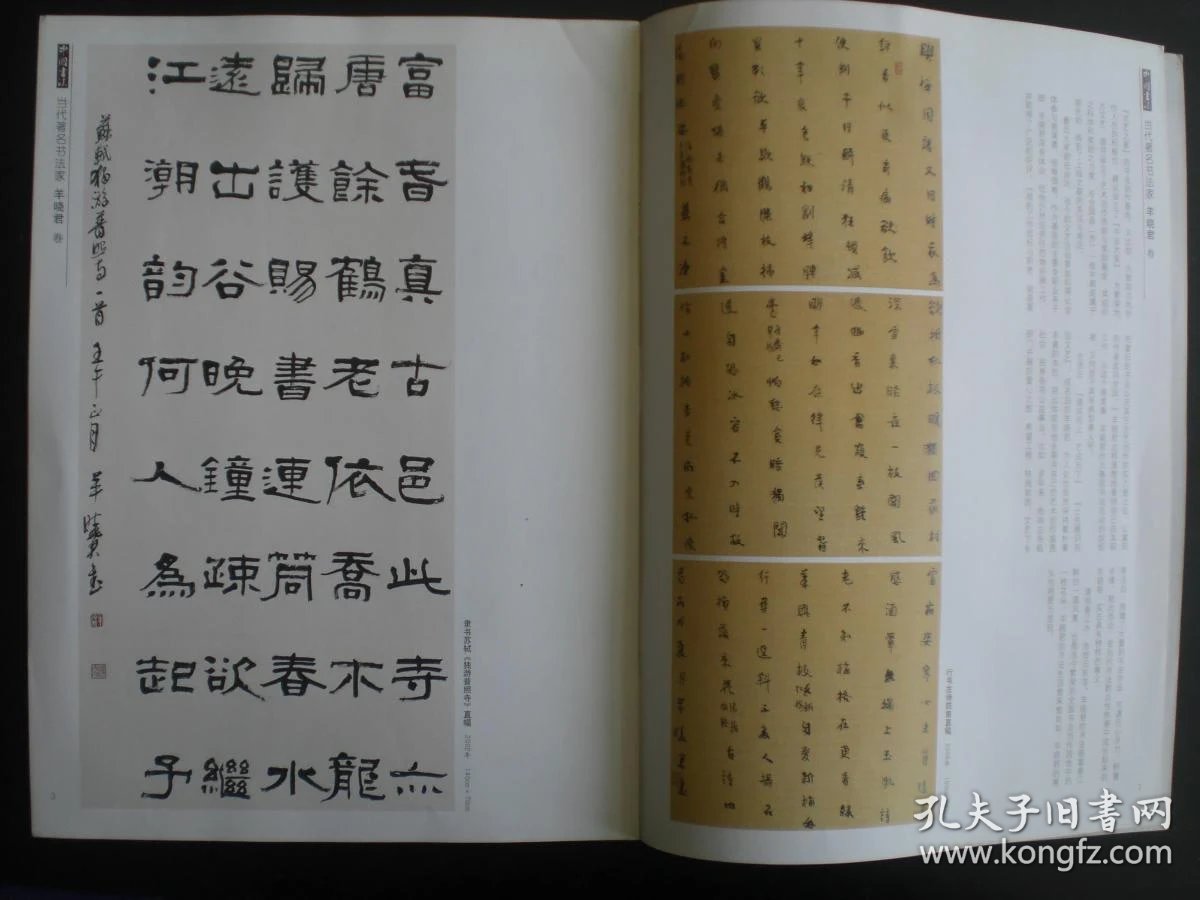 中国书法赠刊当代著名书法家杨晓君九品