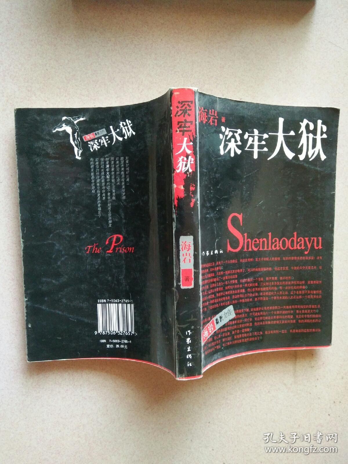 深牢大狱:海岩最新力作