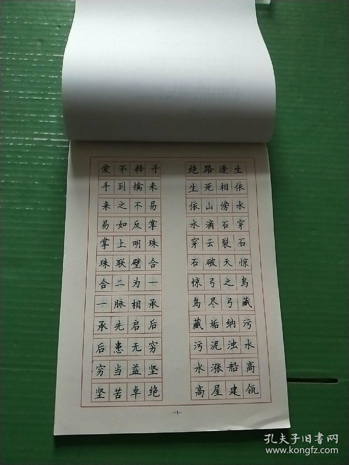 新课标硬笔书法:成语接龙——钢笔楷书字帖(16开)