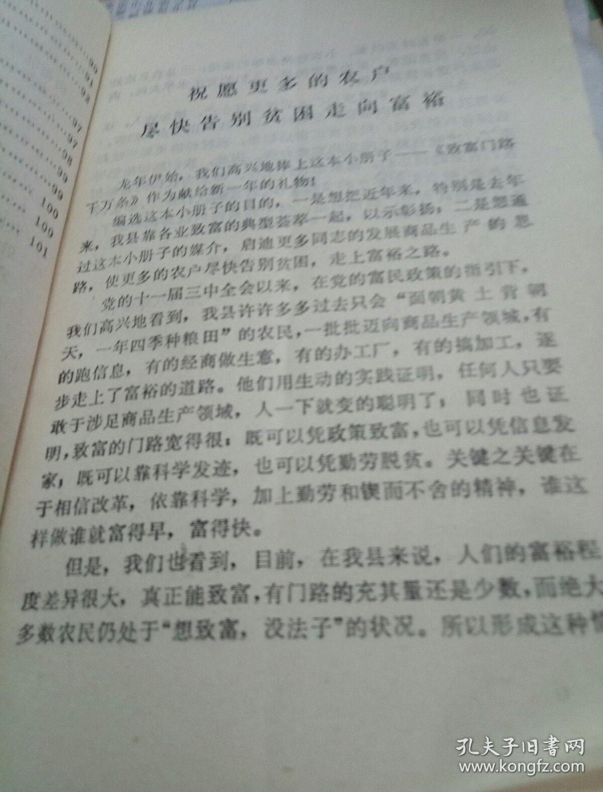热门致富门路100条视频播放在线观看(热门致富门路100条视频播放在线观看免费)