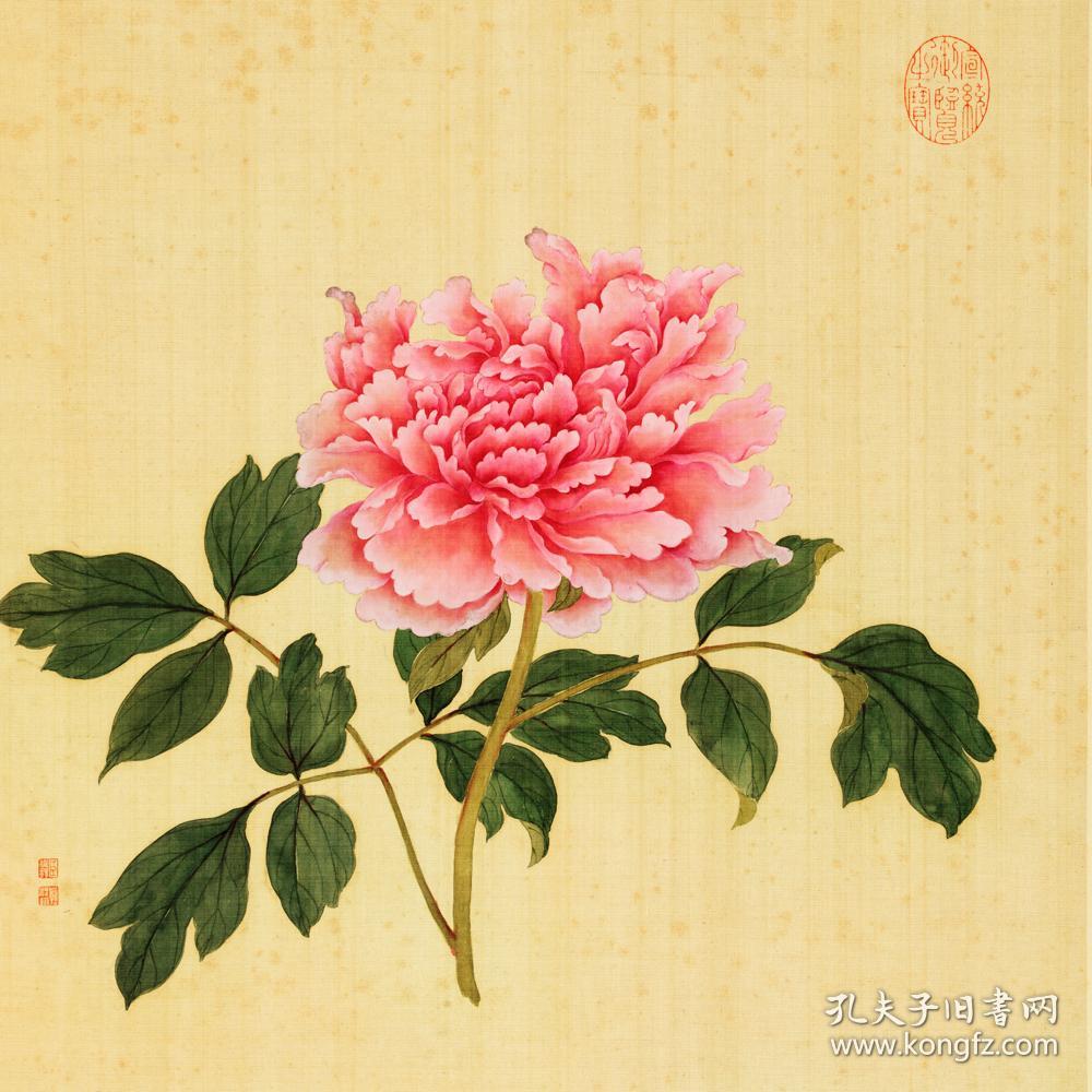 清 蒋廷锡 百种牡丹谱-斗大银红 绢本 43x43cm 〖材质〗:日本进口蚕丝