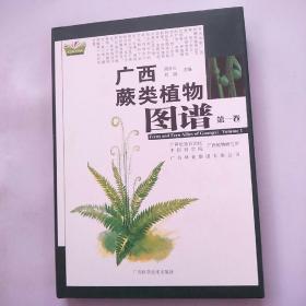广西蕨类植物图谱（第一卷）