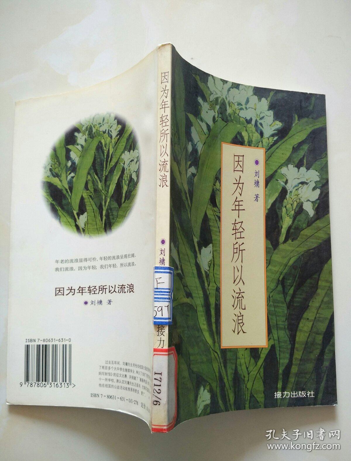 因为年轻所以流浪