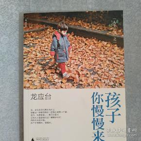 孩子你慢慢来:龙应台"人生三书"之一