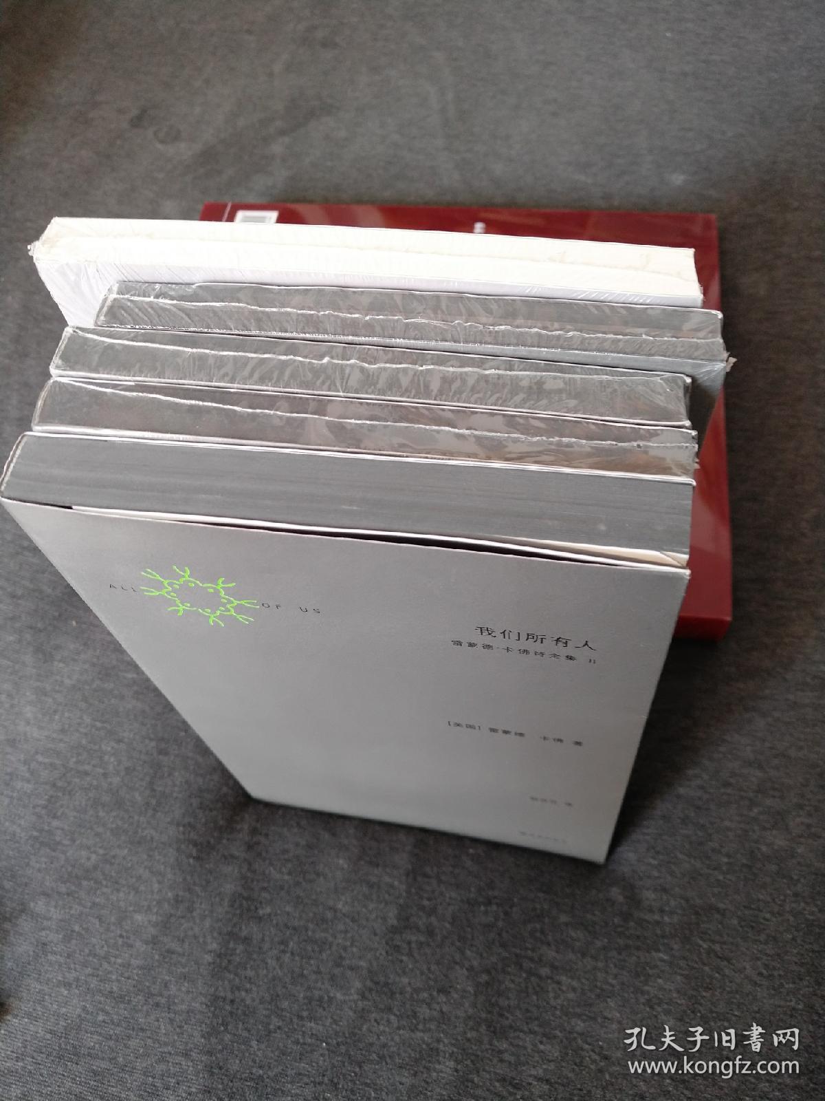 我们所有人:雷蒙德·卡佛诗全集