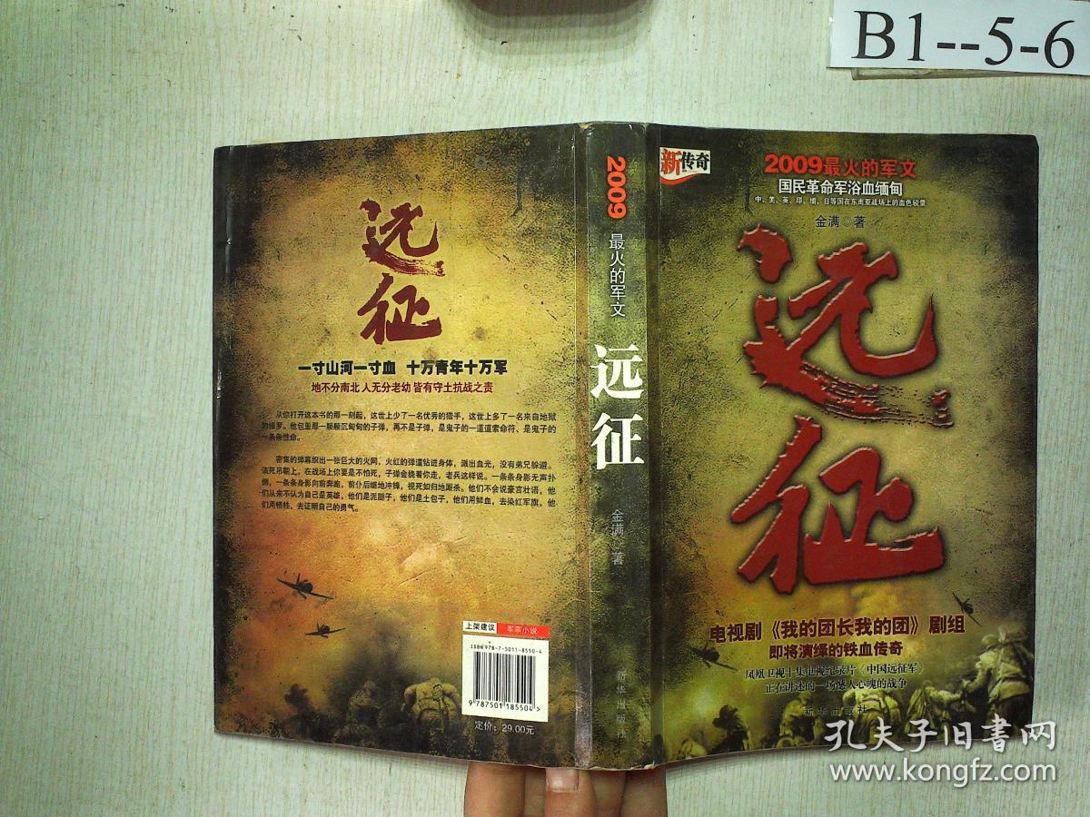 远征:2008最火的军文