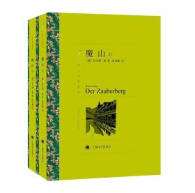 魔山上下2册托马斯曼上海译文出版社文学名著精选