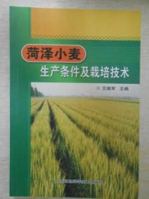 菏泽小麦生产条件及栽培技术