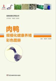 养鸭技术书籍 畜禽规模化养殖丛书：肉鸭规模化健康养殖彩色图册
