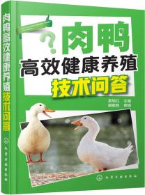 养鸭技术书籍 肉鸭高效健康养殖技术问答