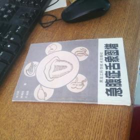 急腹症舌象图谱