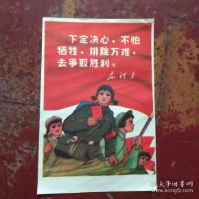 下定决心不怕牺牲排除万难去争取胜利 镜后芯一张