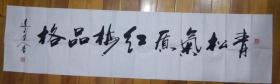 实力书法家杨向道作品